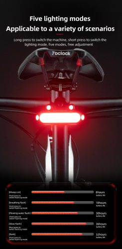 ROCKBROS Bionic Frog Rücklicht Fahrrad Rücklicht LED Typ-C Laden 5 Modi sichere Warnung Radfahren Rücklicht hinten Fahrradlampe